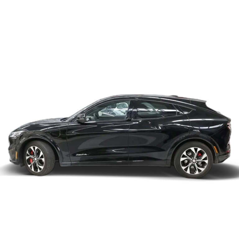 Renting Ford Mustang Shelby Super Snake Negro 1