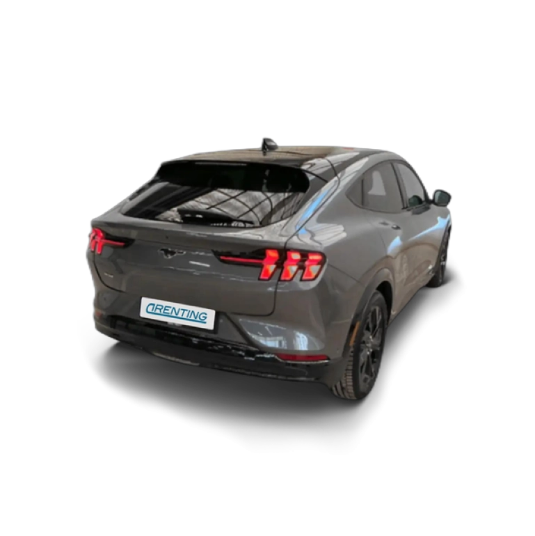 Renting Ford Mustang Shelby Super Snake Gris