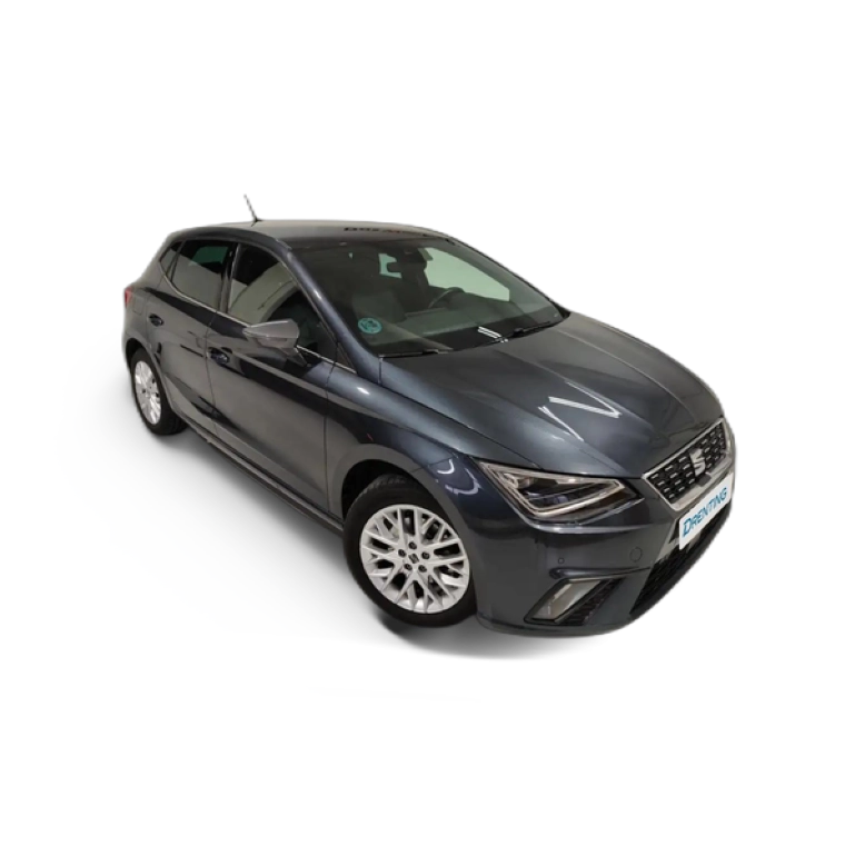 Renting SEAT Ibiza 1.0 TSI S&amp;S Special Edition 115 Gris 2