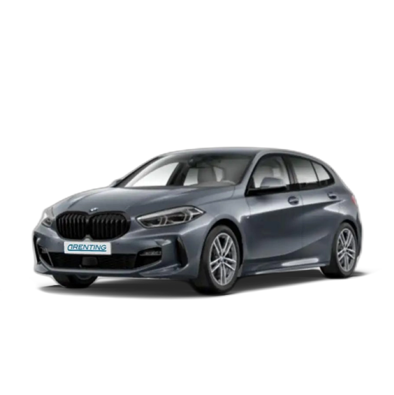 Renting BMW 120 120dA Gris 2 1
