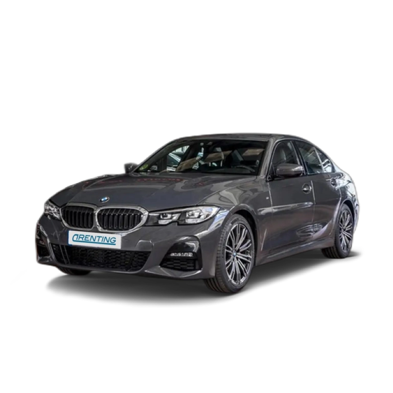 Renting BMW 318 318dA Gris 2 2