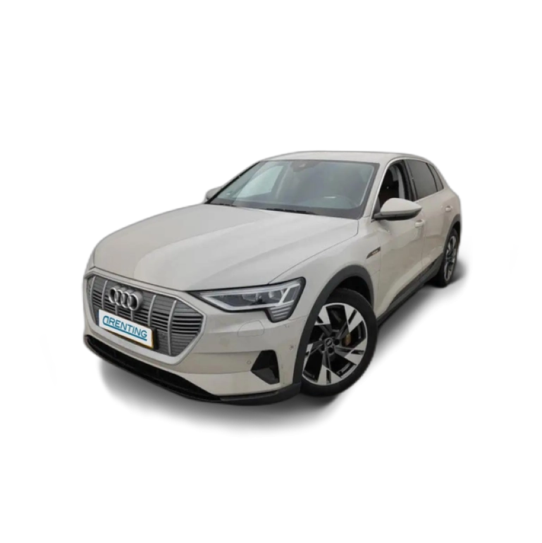 Renting Audi e-tron 50 quattro Beige