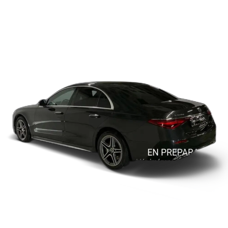 Renting Mercedes-Benz S 350 d Gris 3