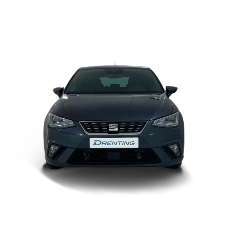 Renting SEAT Ibiza 1.0 TSI Special Edition 81 kW (110 CV) 1