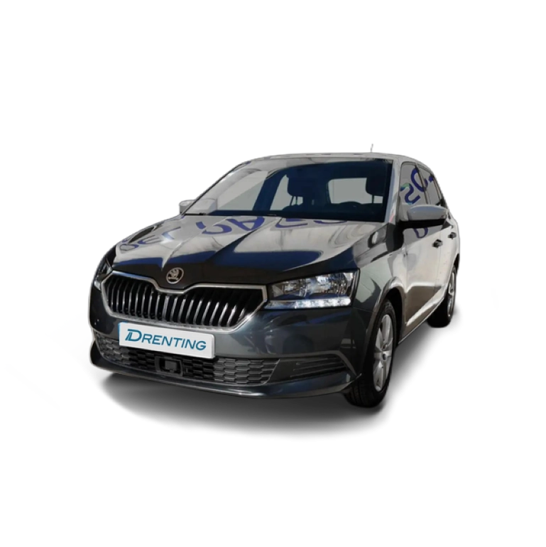 Renting Skoda Fabia 1.0 MPI Ambition 55kW Gris