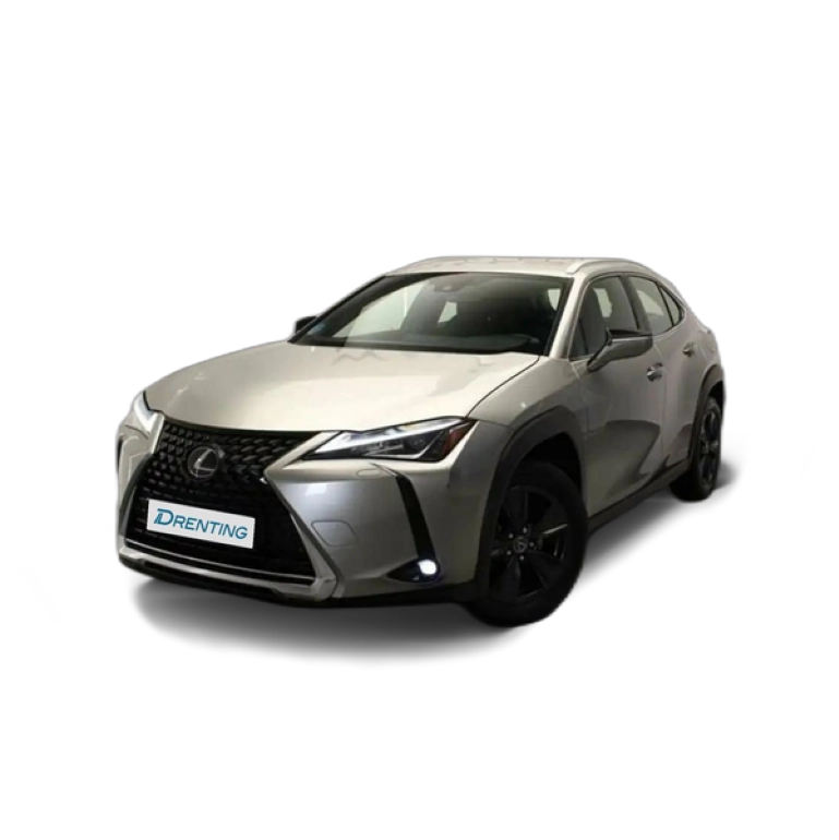 Renting Lexus UX 250h 2.0 Business Gris