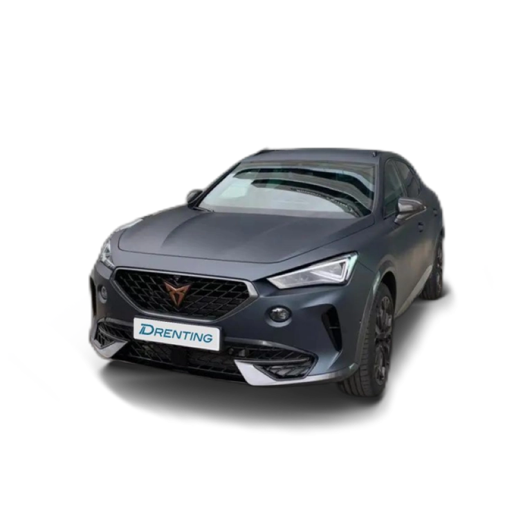 Renting CUPRA Formentor 2.0 TSI 310 VZ DSG 4Drive Gris 5