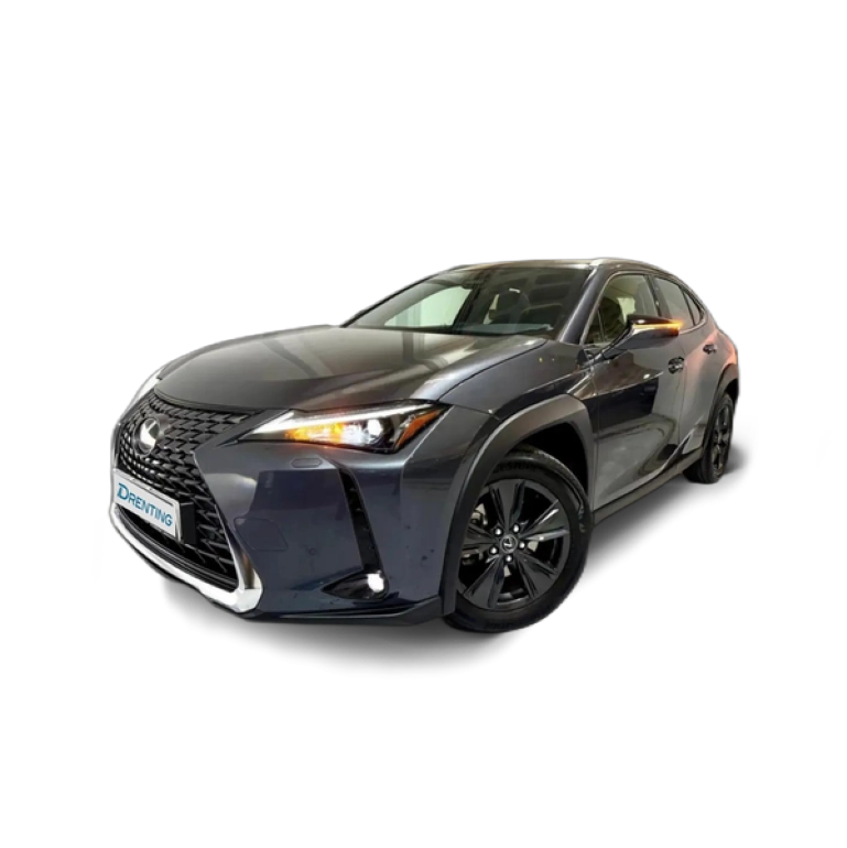 Renting Lexus UX 300h + Gris