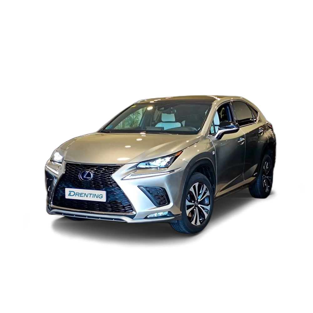 Renting Lexus NX 300 300h F Sport 4WD Panorámico Gris