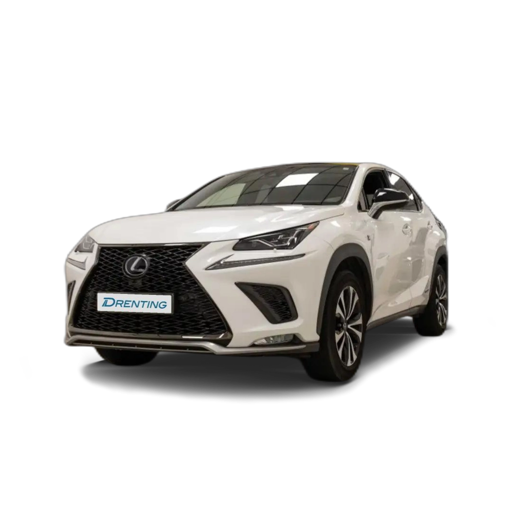 Renting Lexus NX 300 300h F Sport Panorámico 4WD Gris