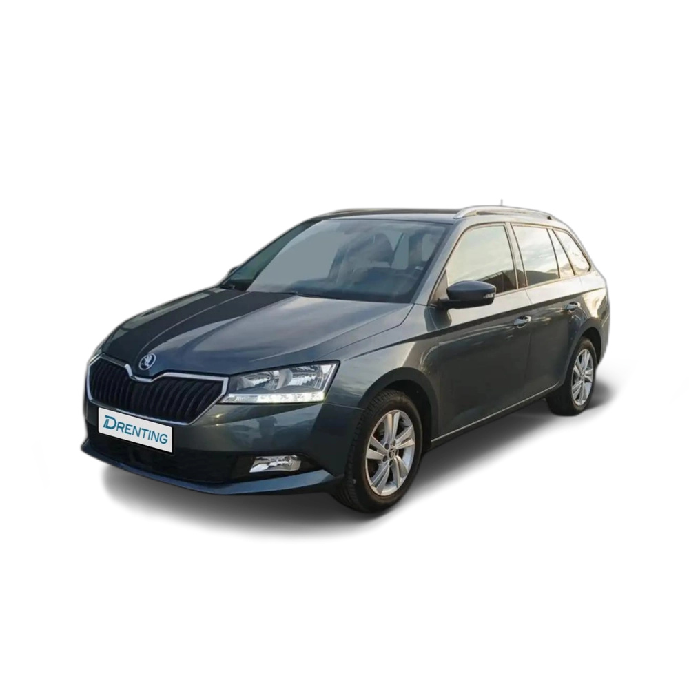 Renting Skoda Fabia Combi 1.0 TSI Ambition 70kW Gris