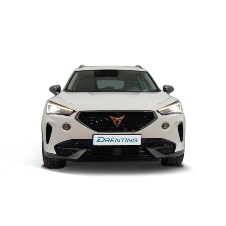 Renting Cupra Formentor 2.0 TDI 1