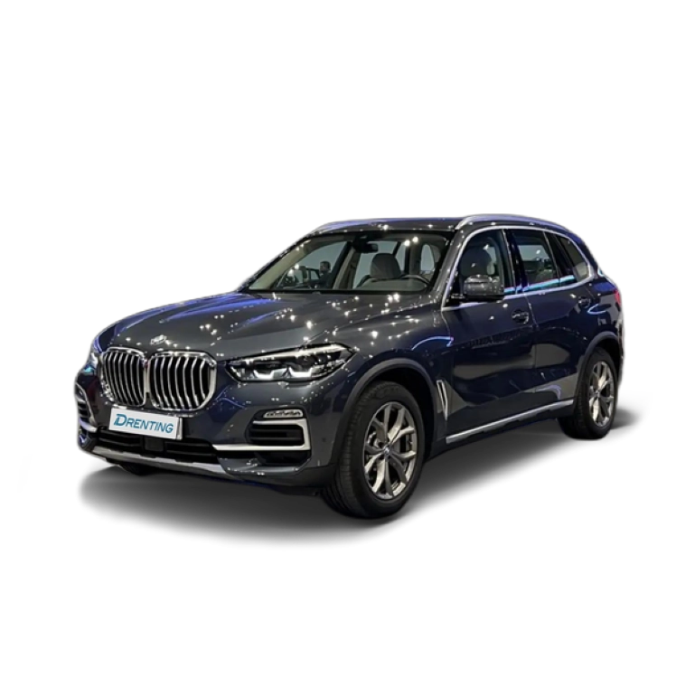 Renting BMW X5 xDrive 30dA Gris 1