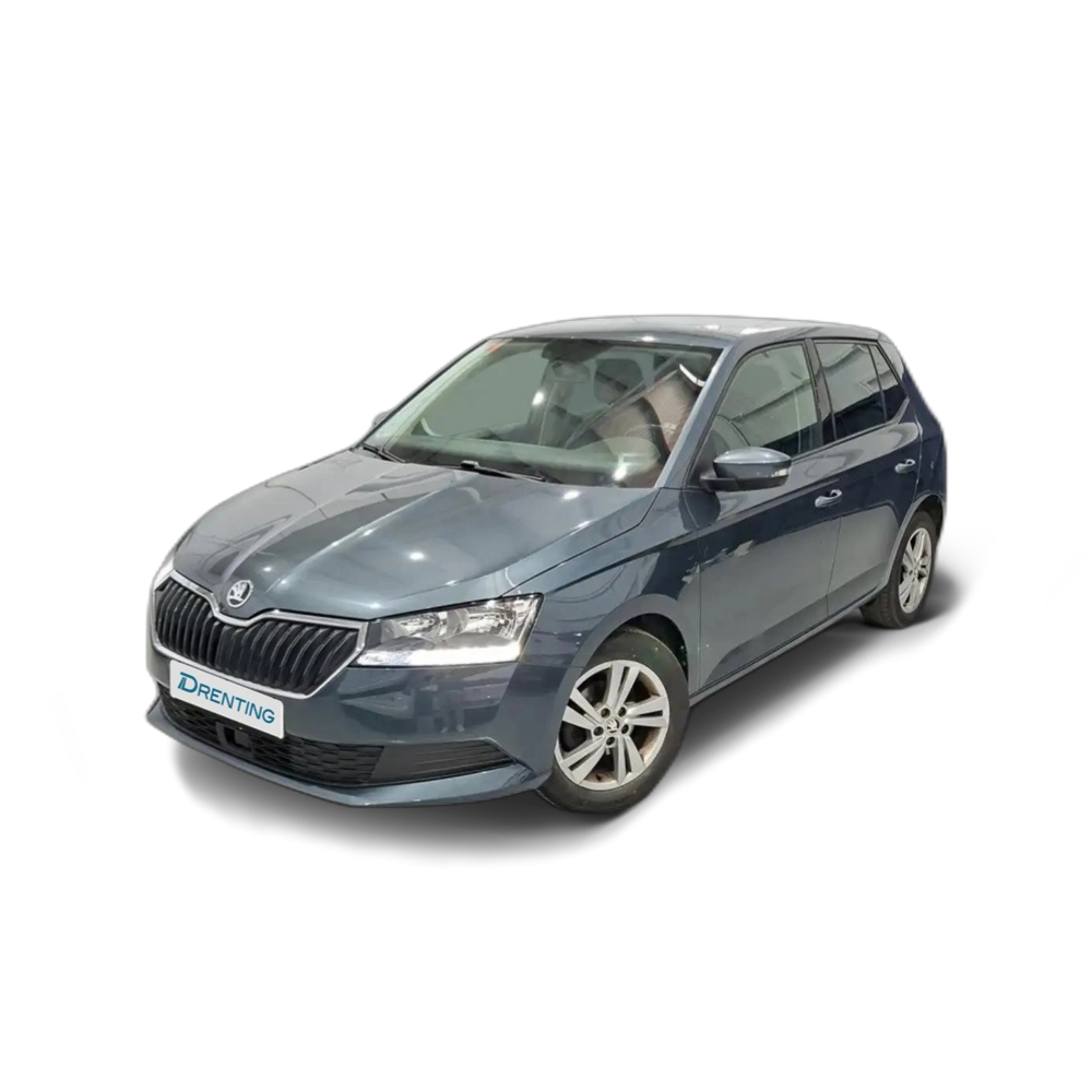 Renting Skoda Fabia 1.0 TSI Ambition 70kW Gris