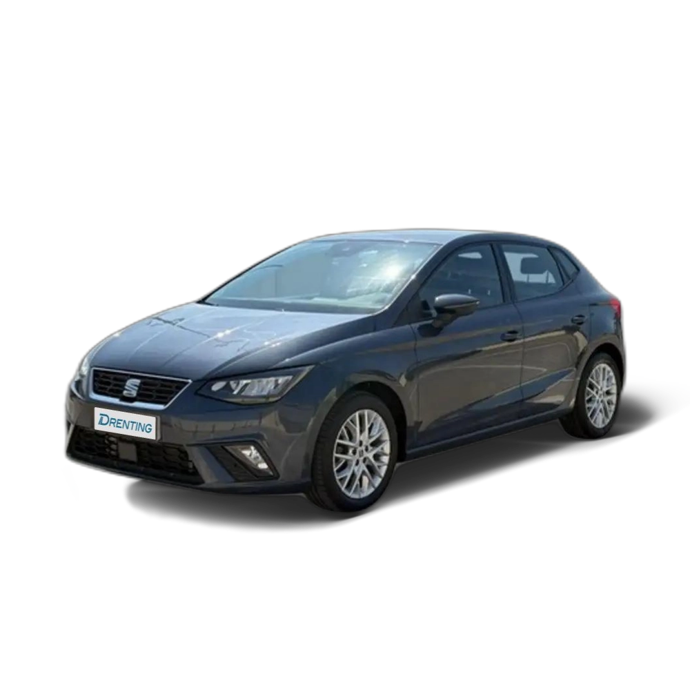 Renting SEAT Ibiza 1.0 TSI S&amp;S FR XS 110 Gris 1