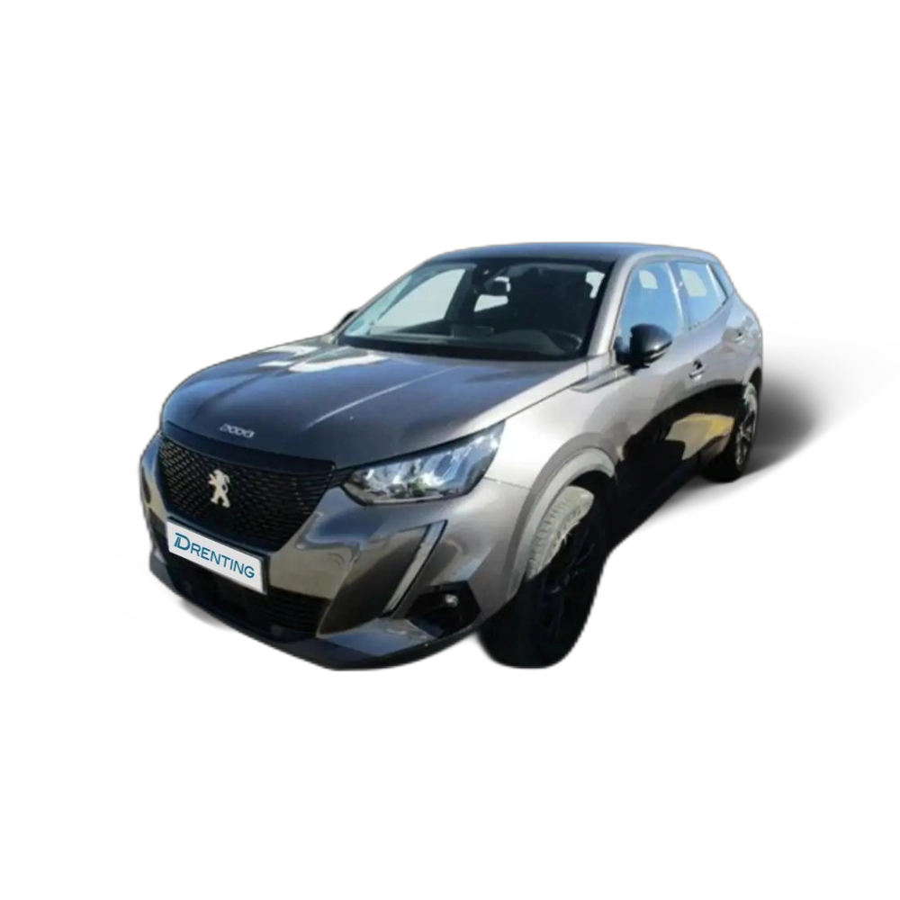 Renting Peugeot 2008 1.5BlueHDi S&amp;S Active Pack 110 Gris