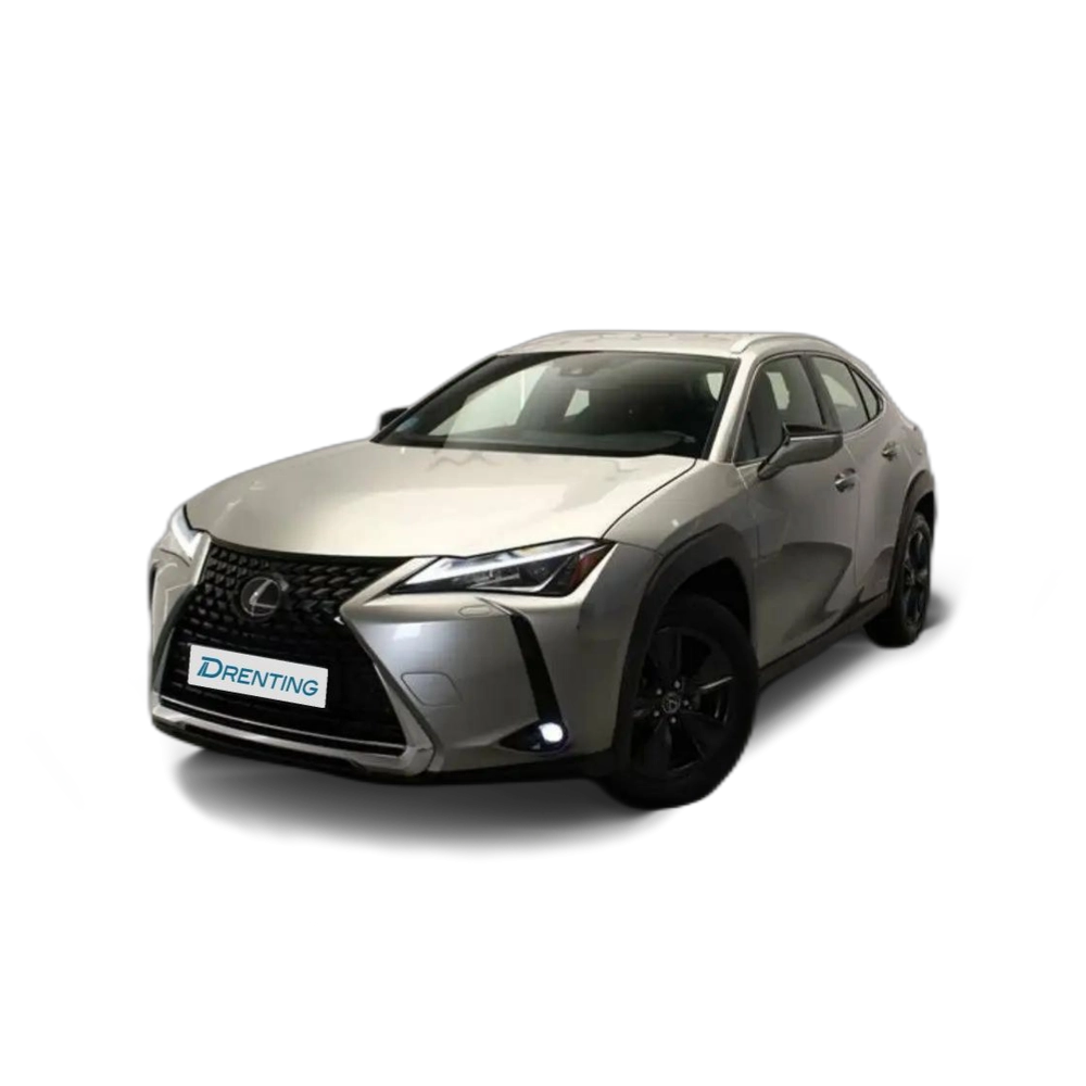 Renting Lexus UX 250h 2.0 Business Gris 1