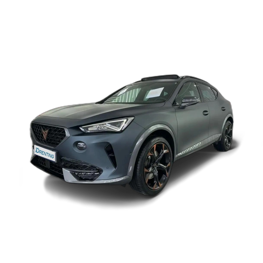 Renting CUPRA Formentor 2.0 TSI 310 VZ DSG 4Drive Gris 3