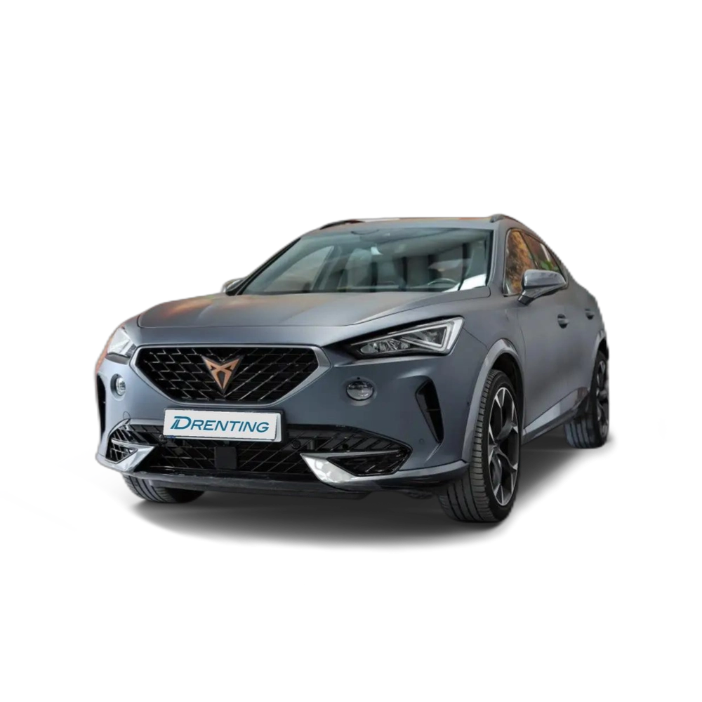 Renting CUPRA Formentor 2.0 TSI 310 VZ DSG 4Drive Gris 2
