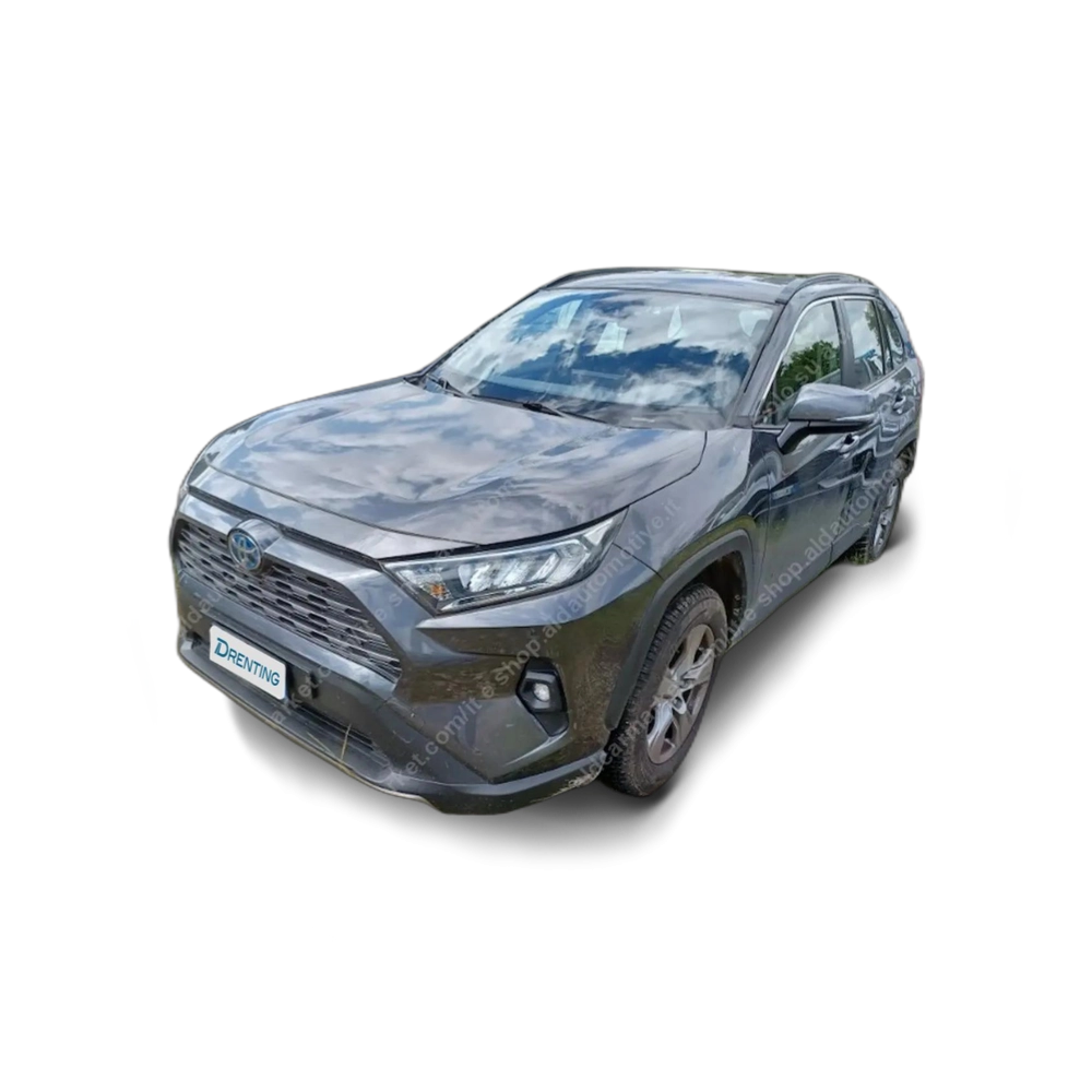 Renting Toyota RAV 4 2.5 hybrid 2WD Business Beige