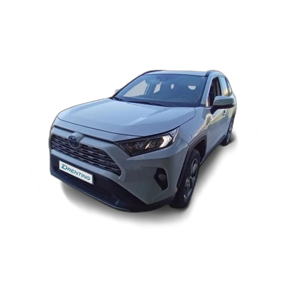 Renting Toyota RAV 4 2.5 hybrid 4WD Advance Blanco 2