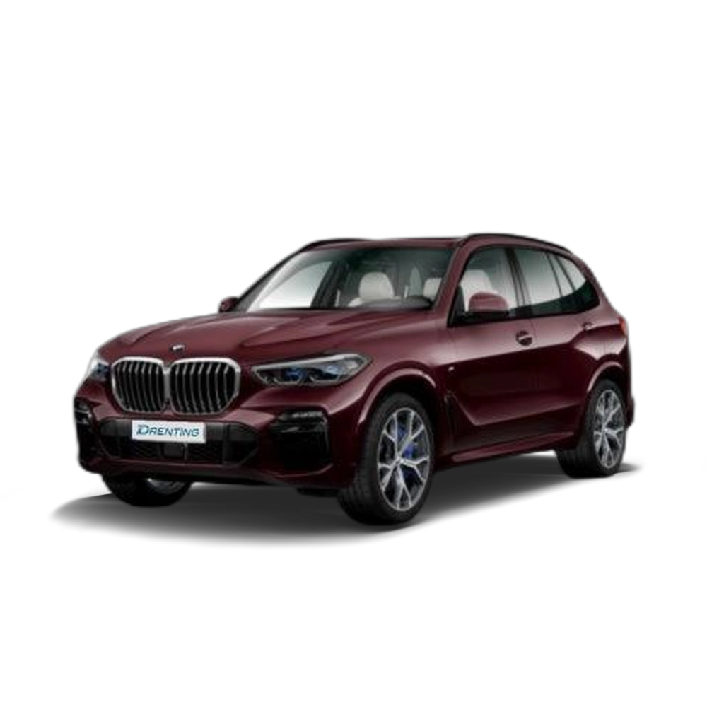 Renting BMW X5 xDrive30d 195 kW (265 CV)