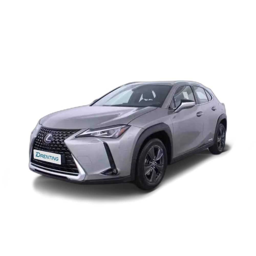 Renting Lexus UX 250h Business Navigation 4WD Gris