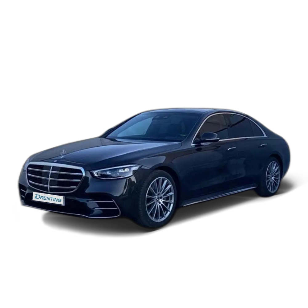 Renting Mercedes-Benz S 350 d Gris 1