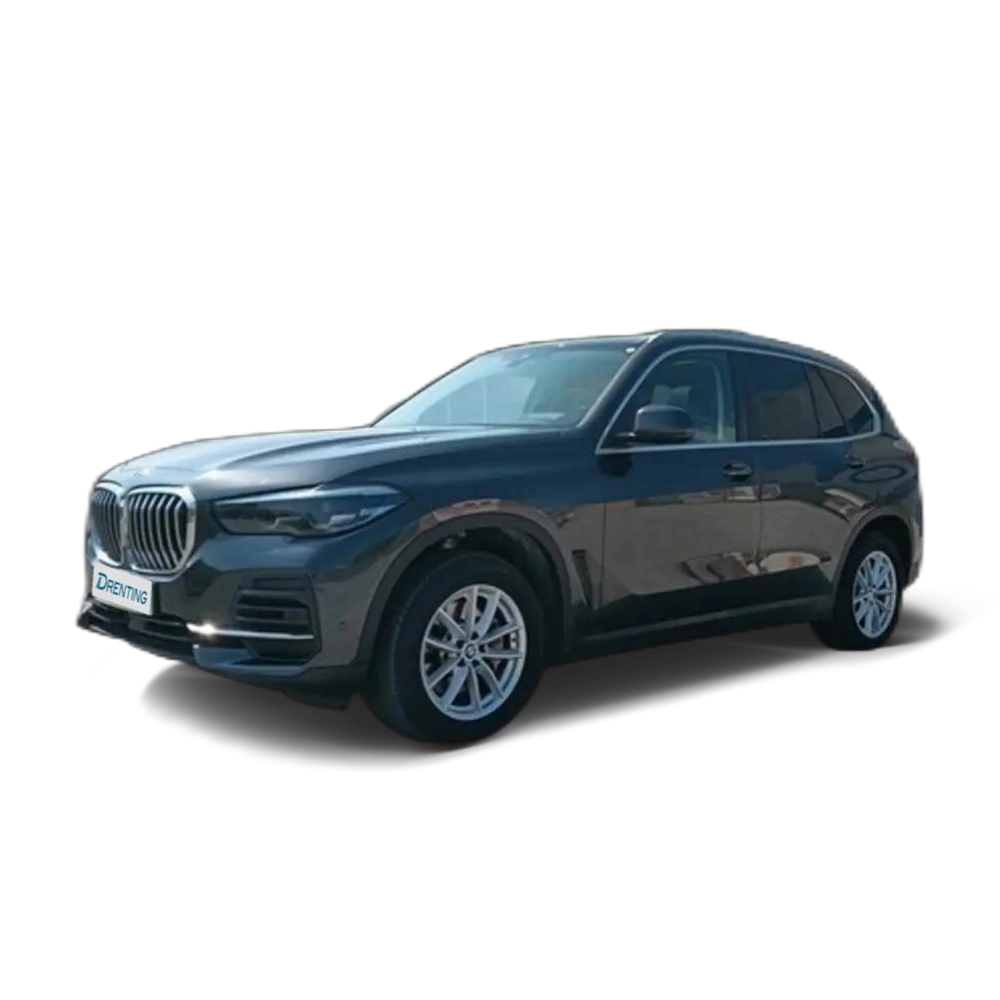 Renting BMW X5 xDrive 25dA Gris 2