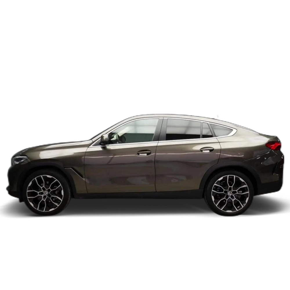 Renting BMW X6 xDrive 30dA Marrón 1