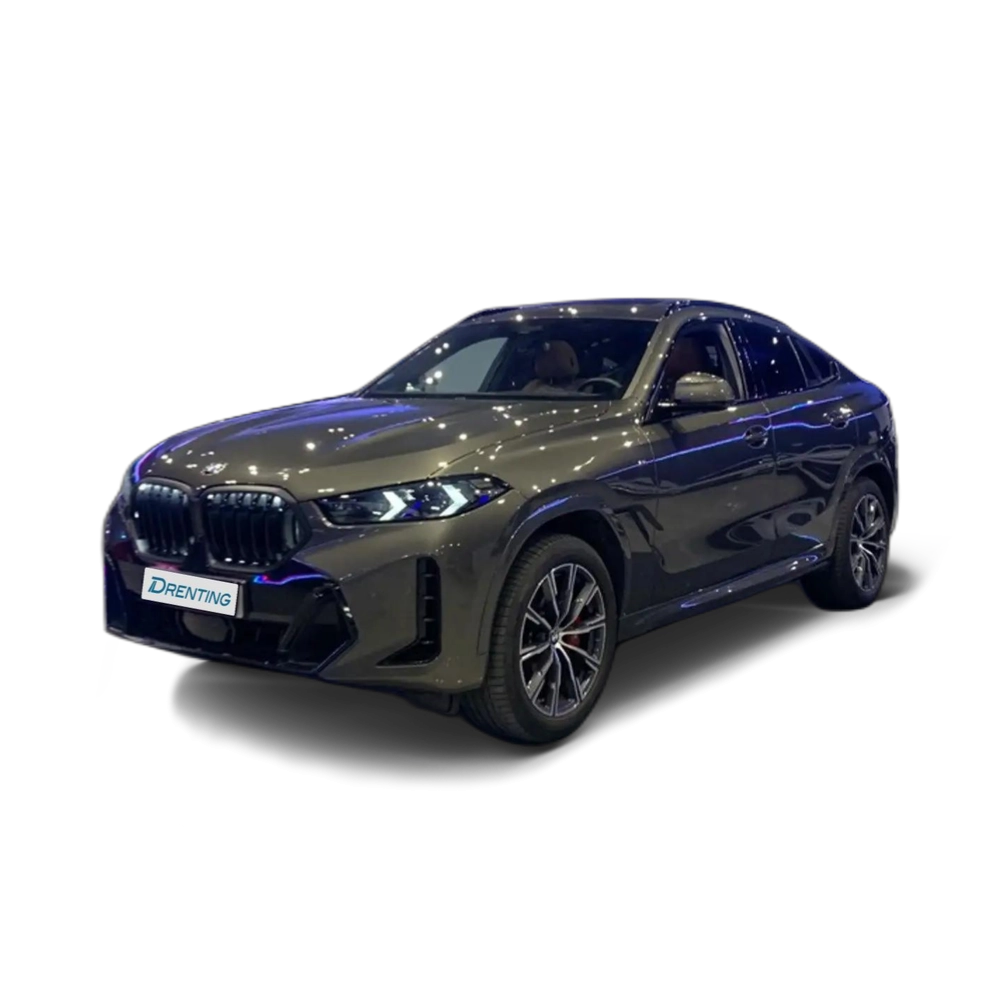 Renting BMW X6 xDrive 30dA M Sport Marrón