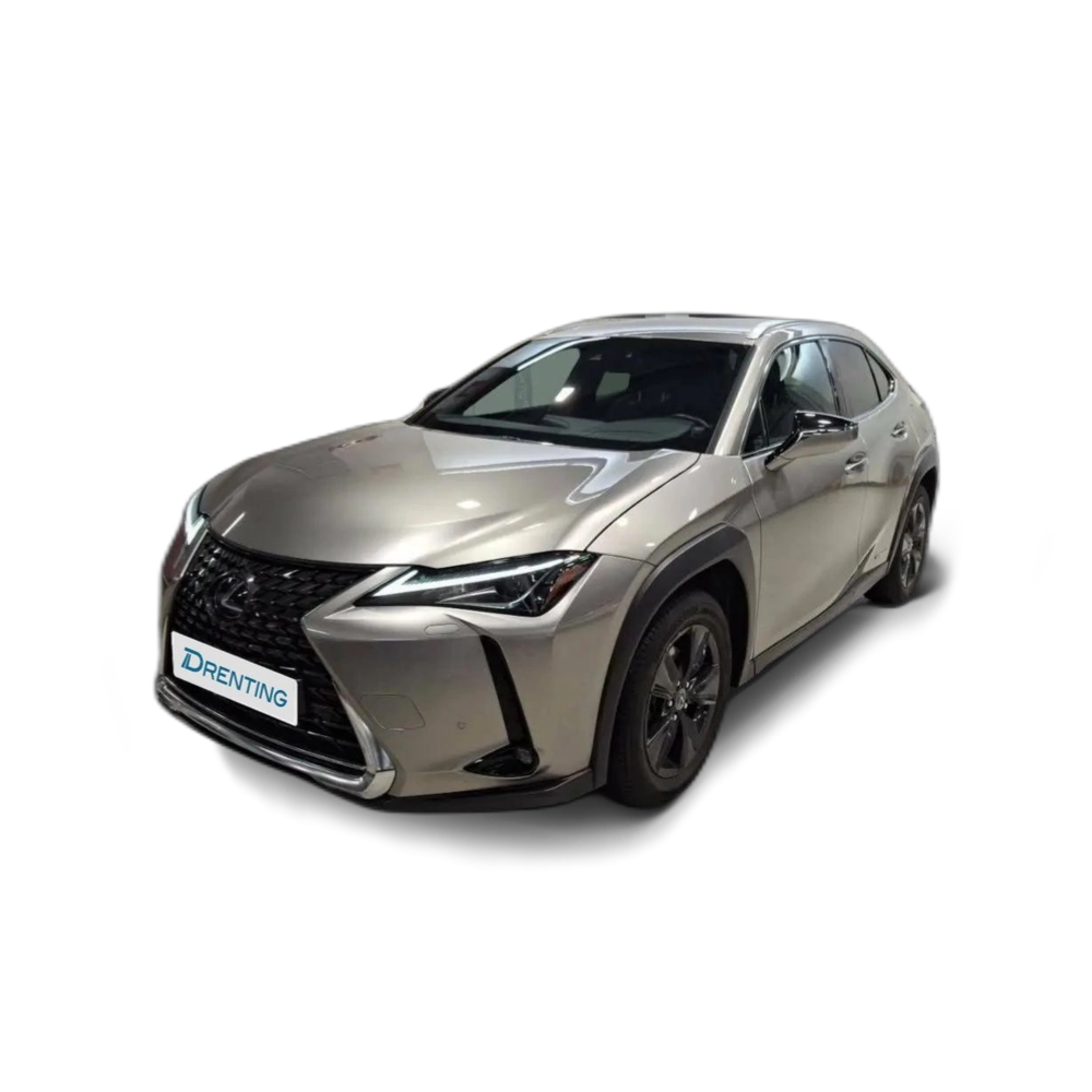 Renting Lexus UX 250h 2.0 Business Amarillo