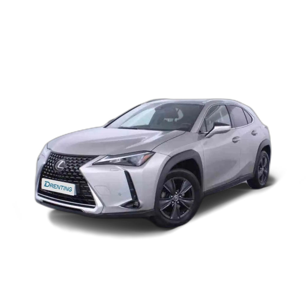 Renting Lexus UX 250h 2.0 Premium Gris