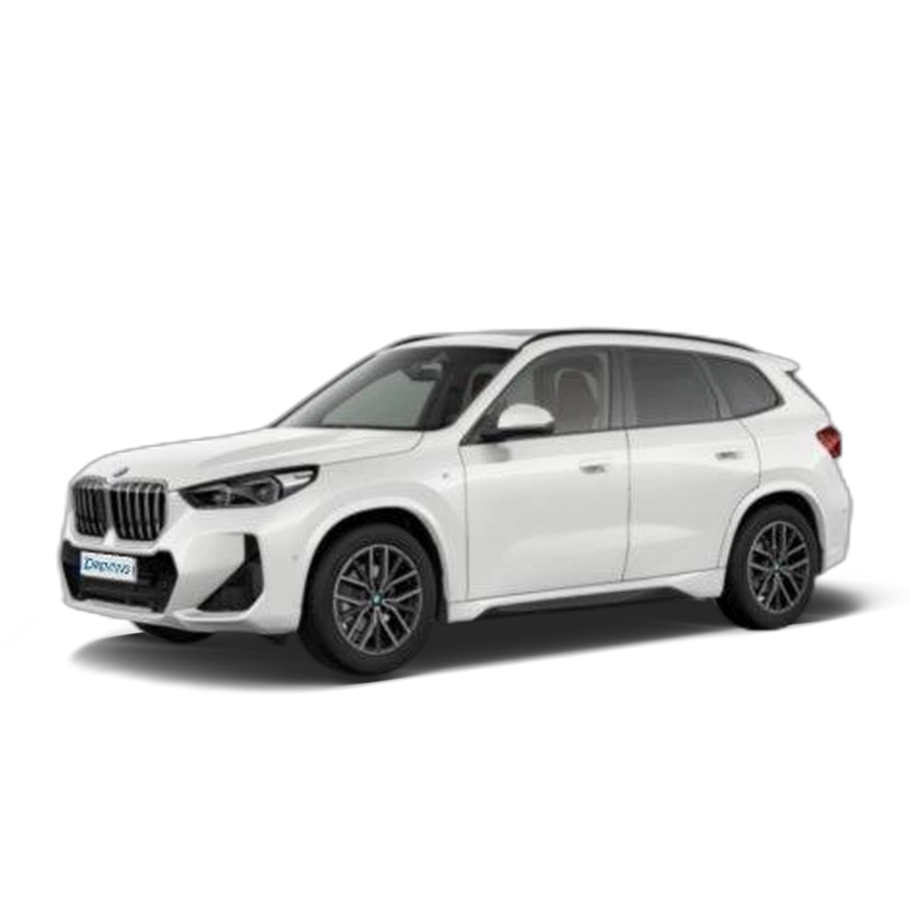 Renting BMW X1 sDrive18d 110 kW (150 CV) 13