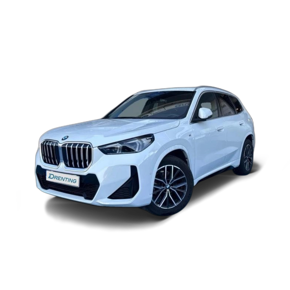 Renting BMW X1 sDrive20d 120 kW (163 CV) 13