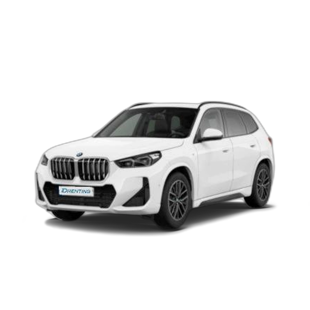 Renting BMW X1 sDrive20d 120 kW (163 CV) 9