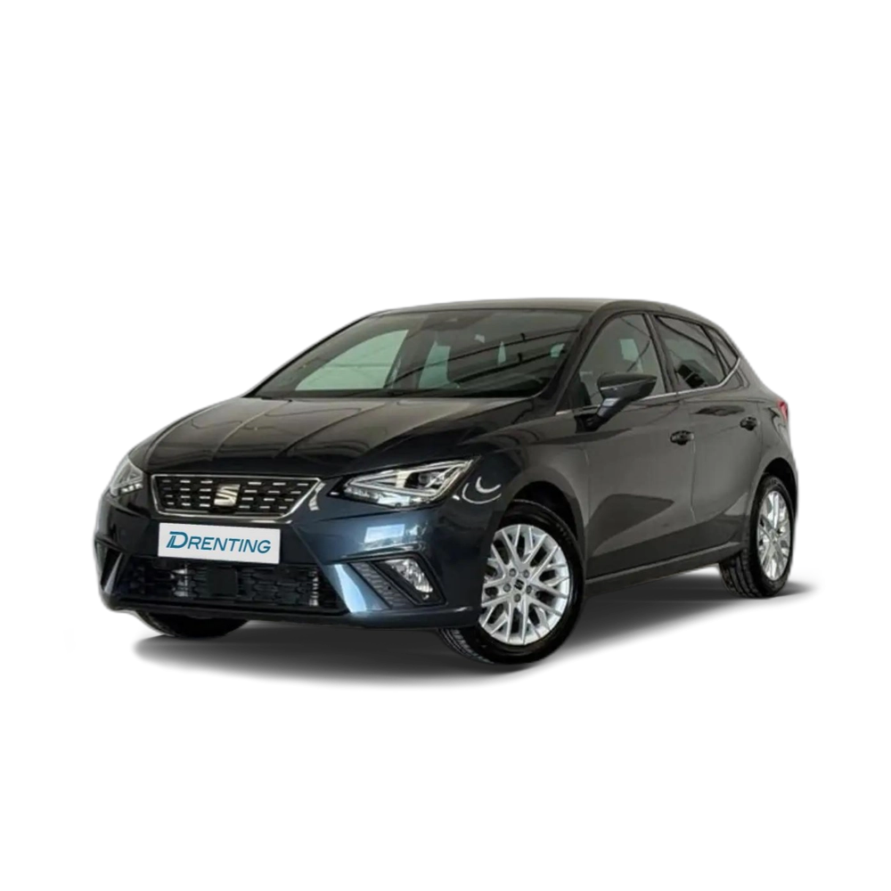 Renting SEAT Ibiza 1.0 TSI S&amp;S Special Edition 115 Gris 3