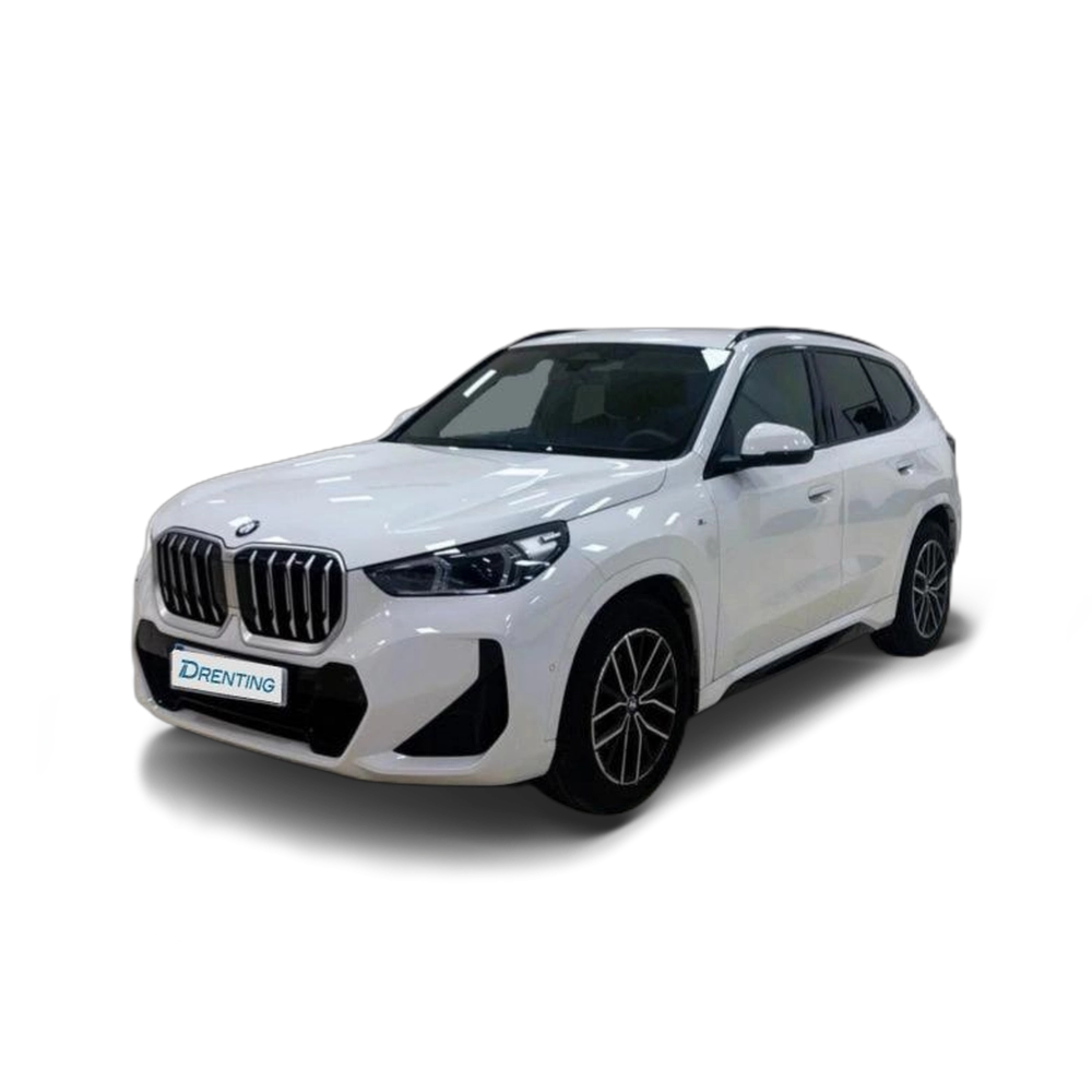 Renting BMW X1 sDrive18d 110 kW (150 CV) 31