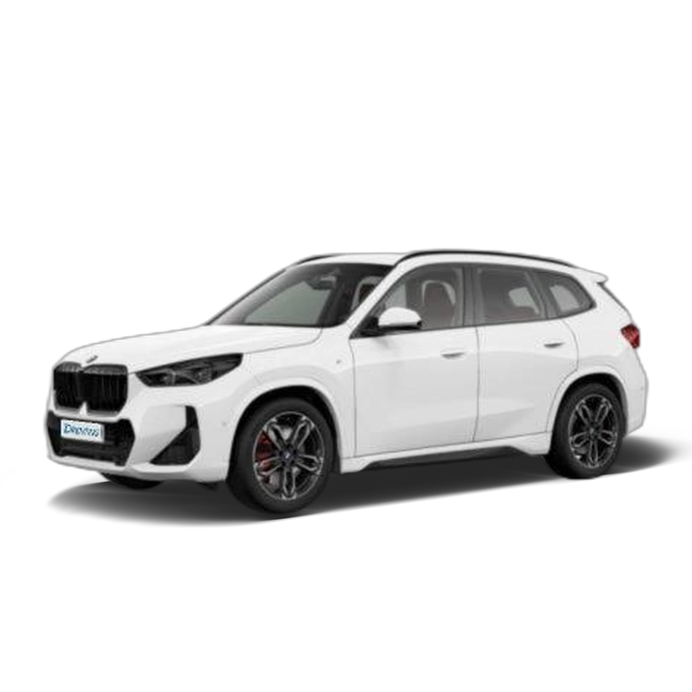Renting BMW X1 sDrive20d 120 kW (163 CV) 1