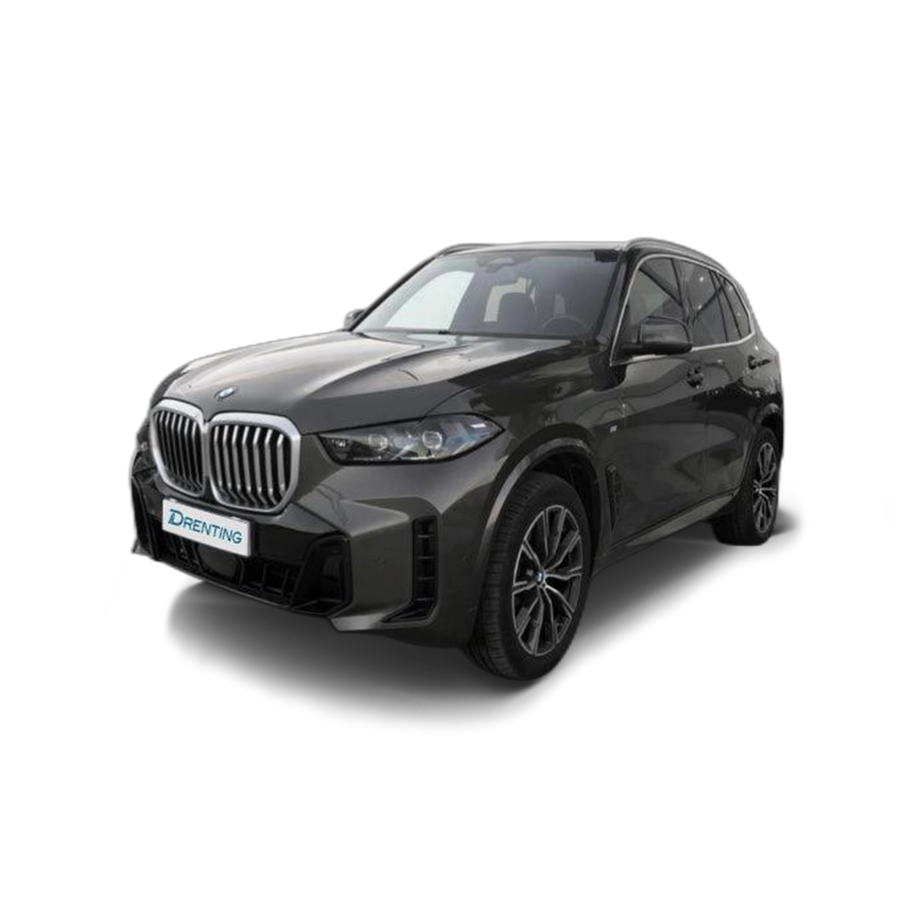 Renting BMW X5 xDrive30d xLine 219 kW (298 CV) 8 1