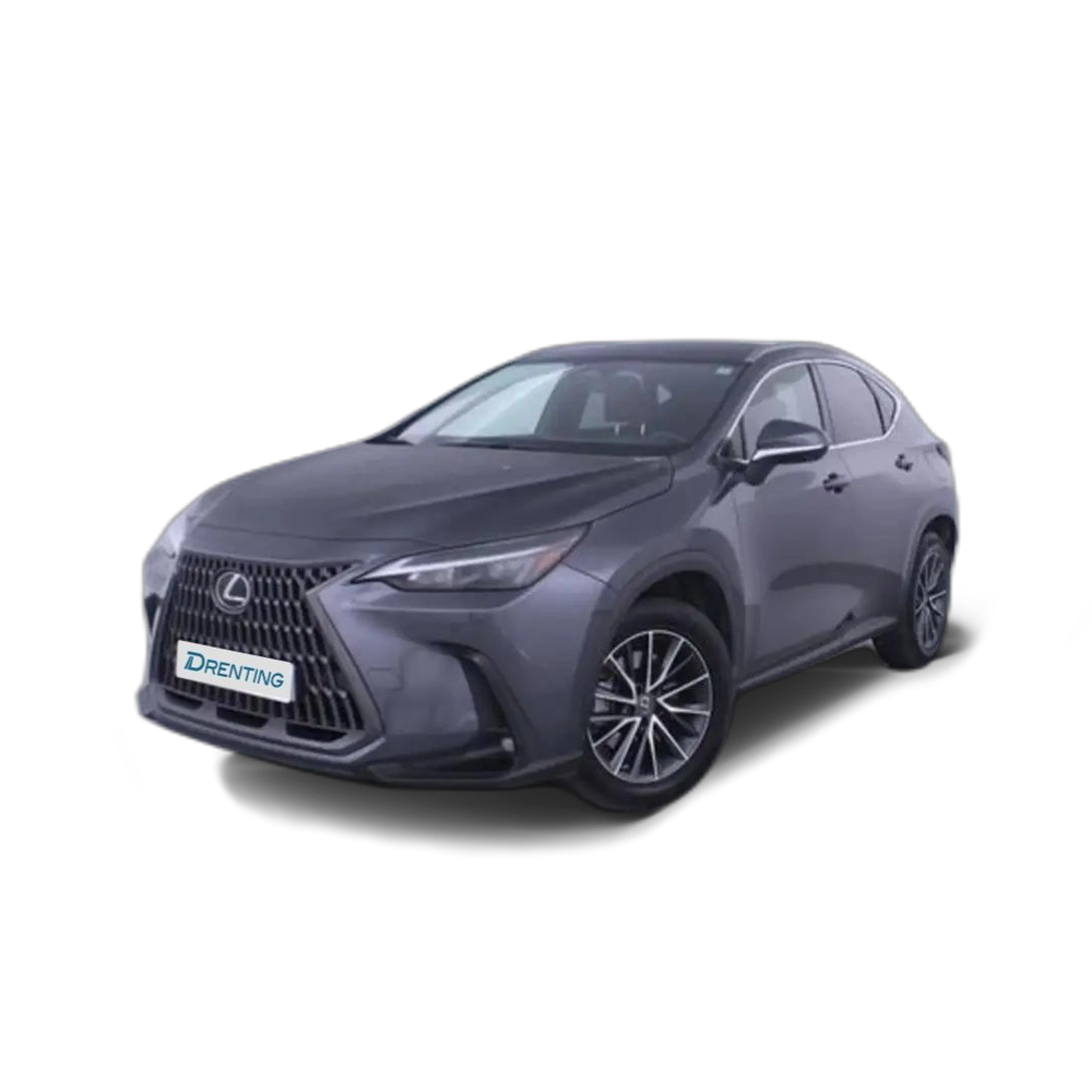 Lexus NX 300h 450h+ Executive 4WD Gris