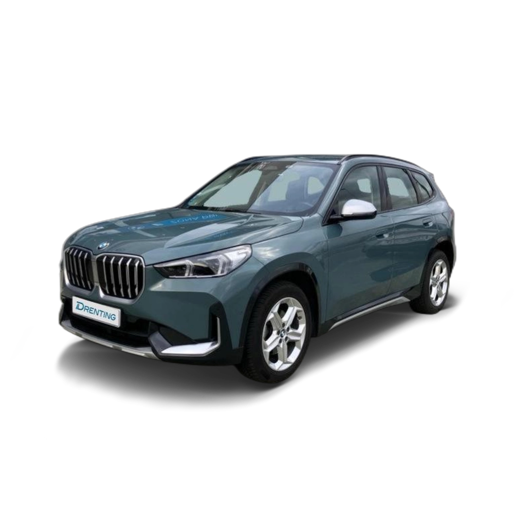 Renting BMW X1 sDrive18d 110 kW (150 CV) 22