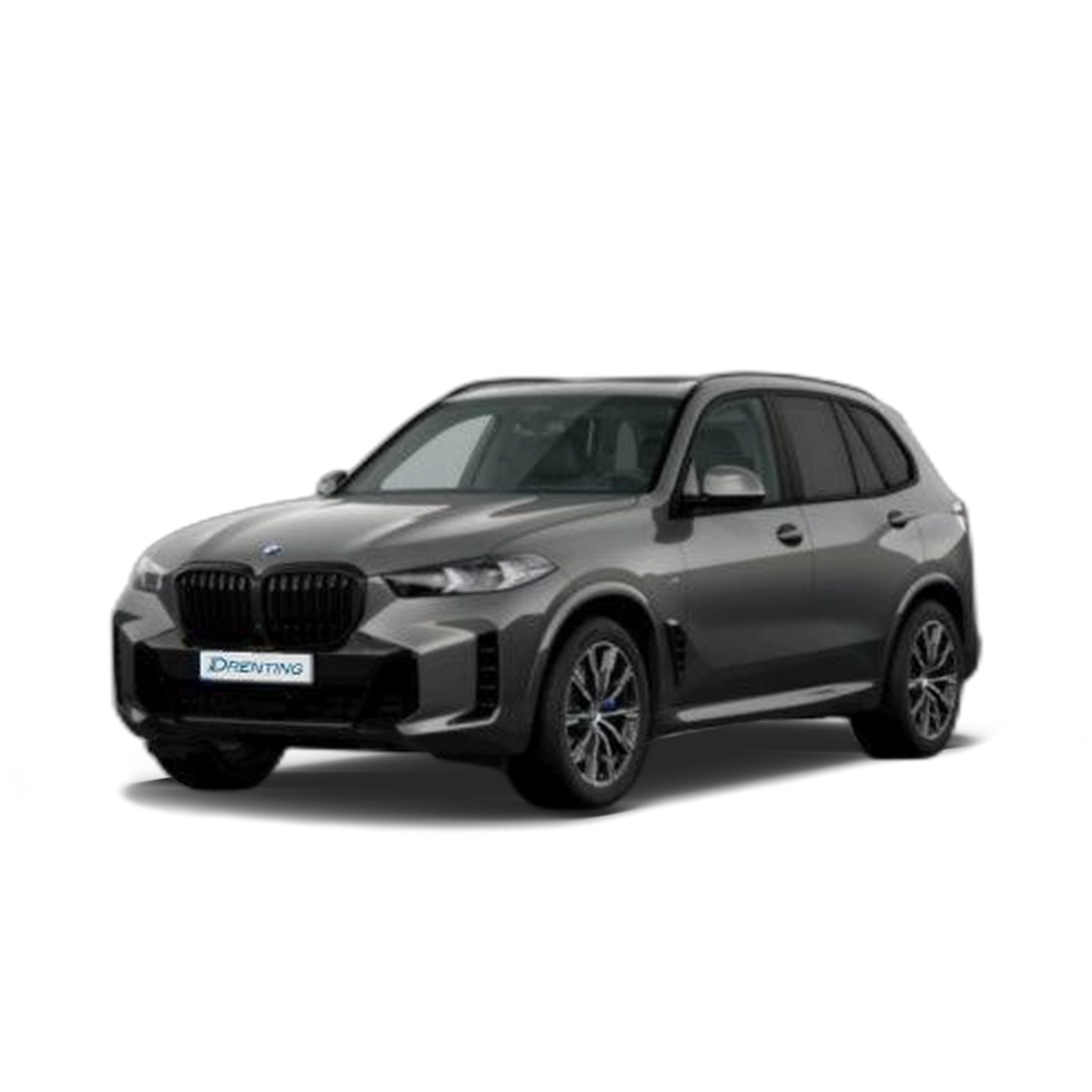 Renting BMW X5 xDrive30d xLine 219 kW (298 CV) 3 3