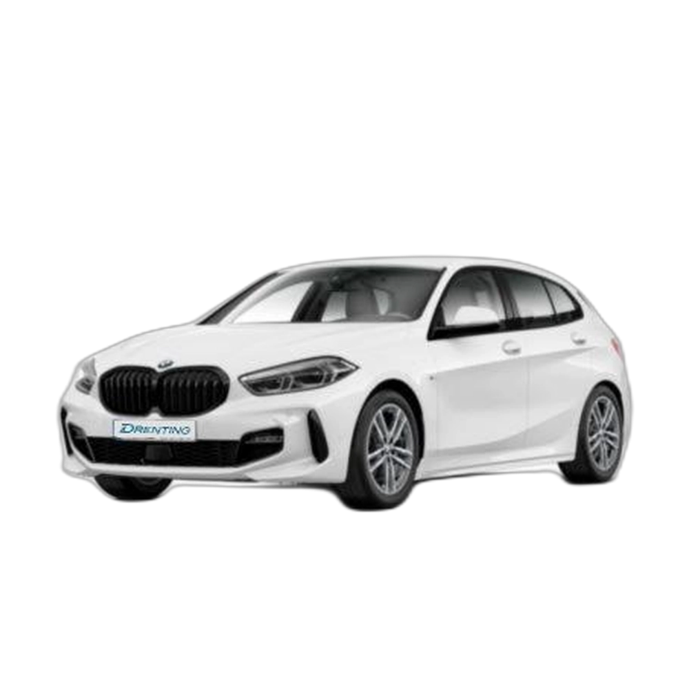 Renting BMW Serie 1 118d Business 110 kW (150 CV) 13 1