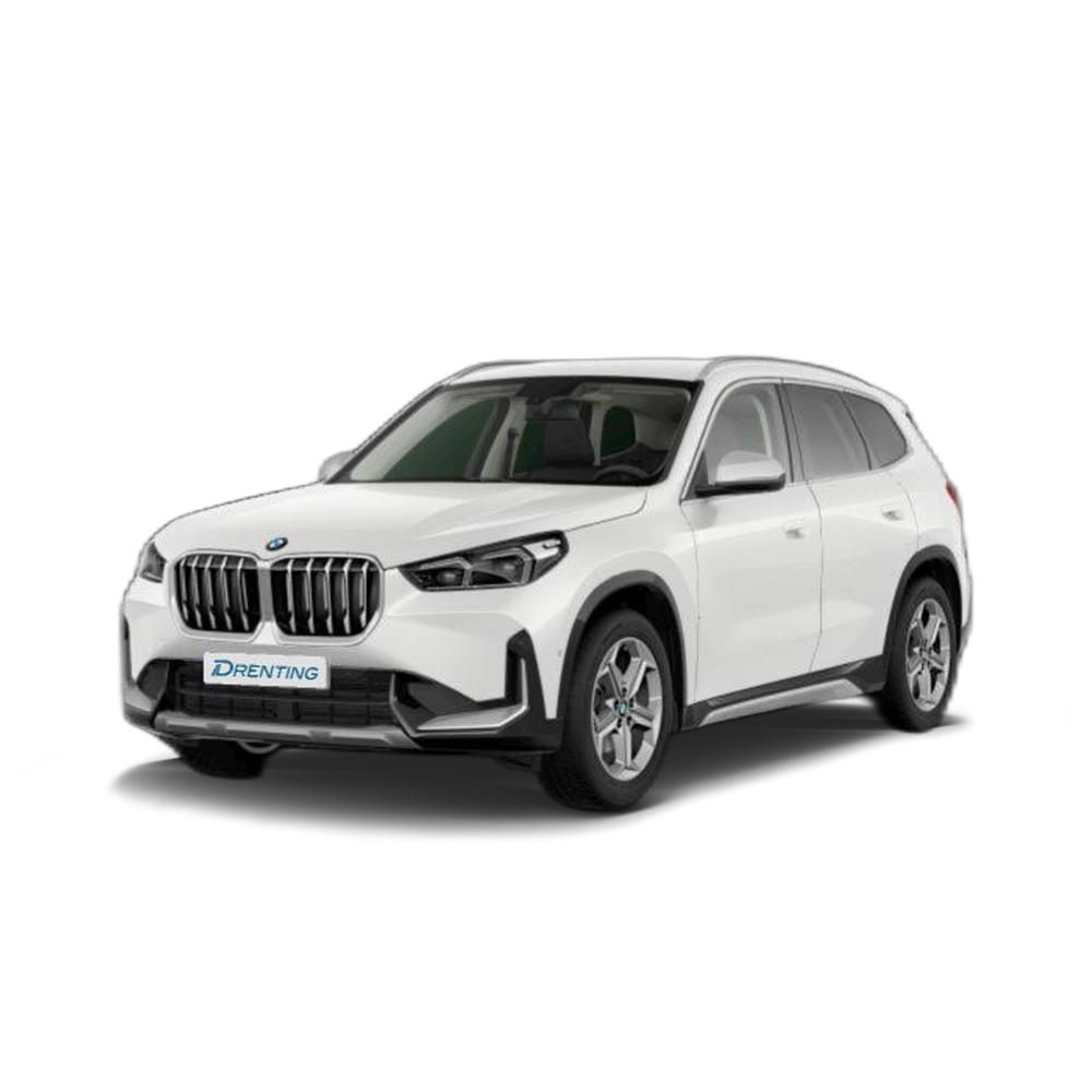 Renting BMW X1 xDrive20d 120 kW (163 CV) 10