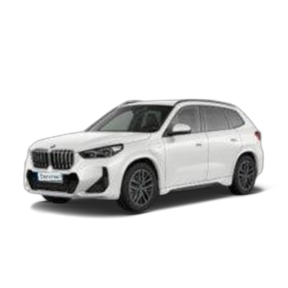 Renting BMW X1 xDrive25e 180 kW (245 CV) 1