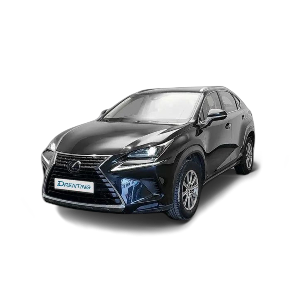 LEXUS NX 300h Business Navigation 2WD