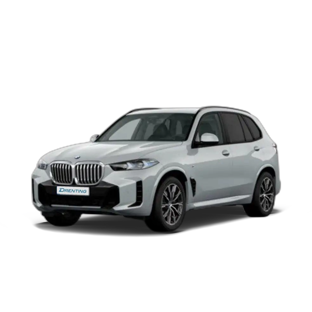 Renting BMW X5 xDrive 30dA xLine Gris 2