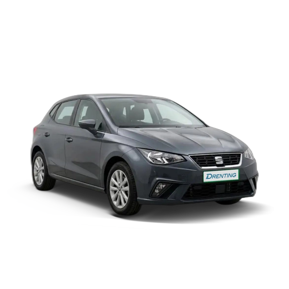 Renting SEAT Ibiza 1.0 TSI S&amp;S FR 85kW Gris 2