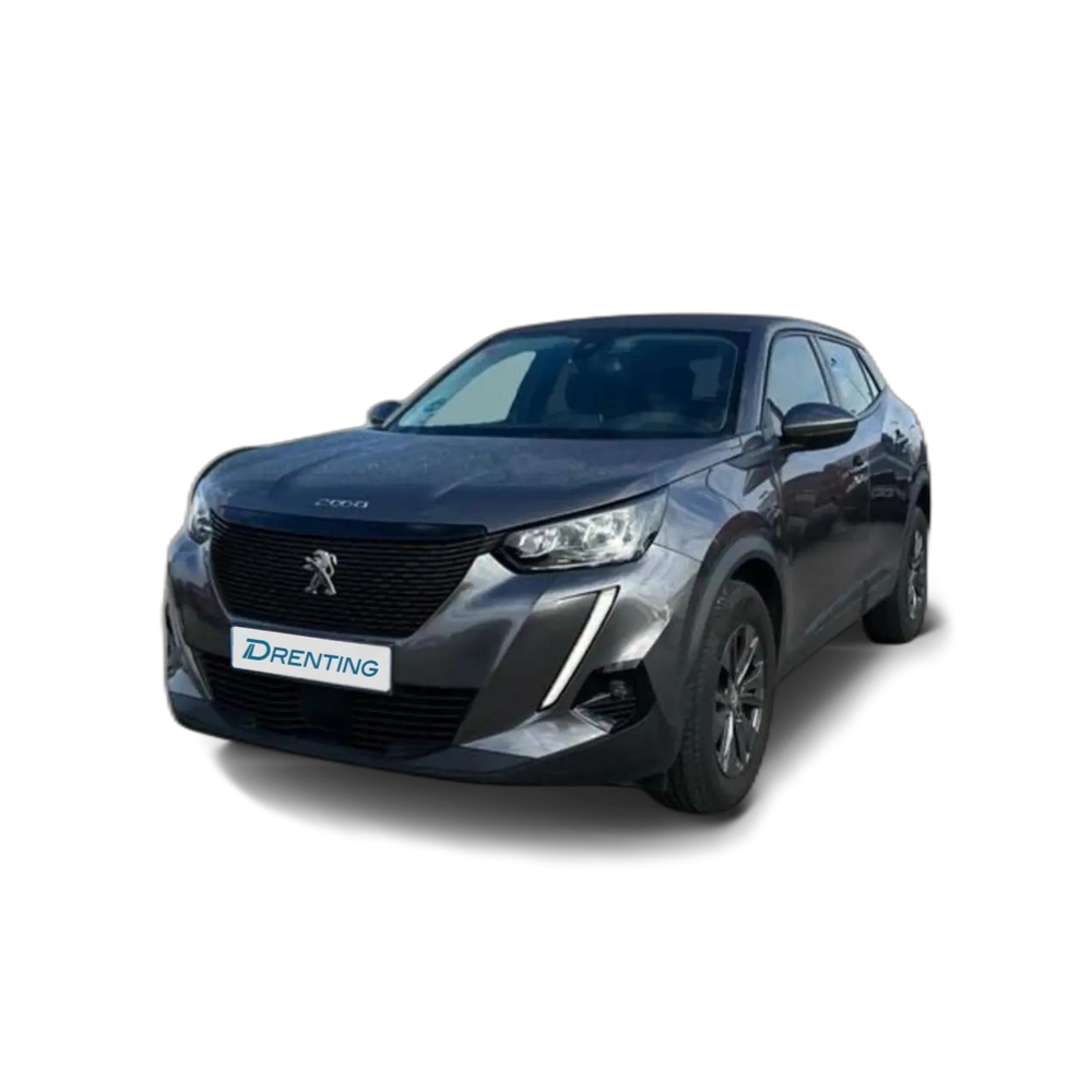 Peugeot 2008 1.2 PureTech S&S Active Pack 100 Gris